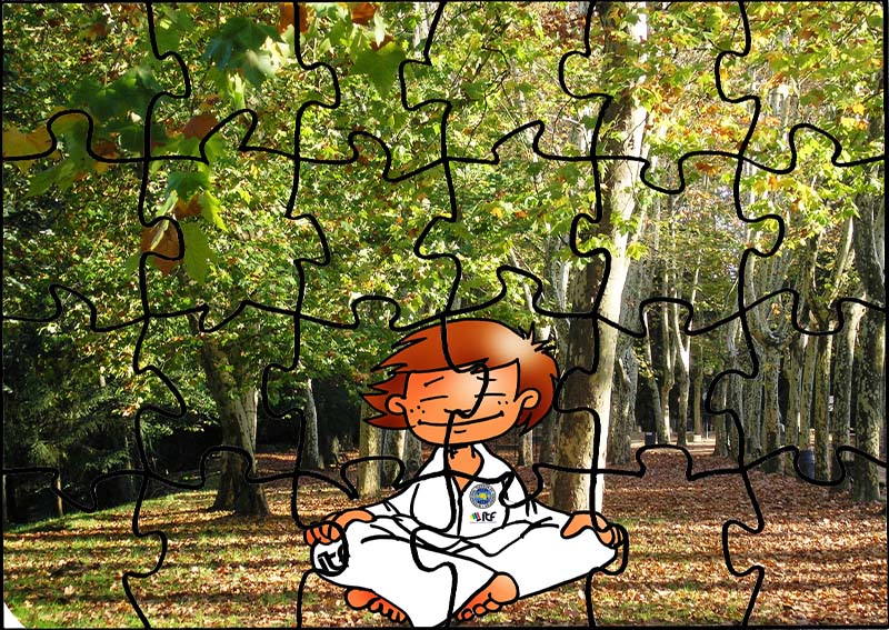 Puzzle Mind Skills Difficult